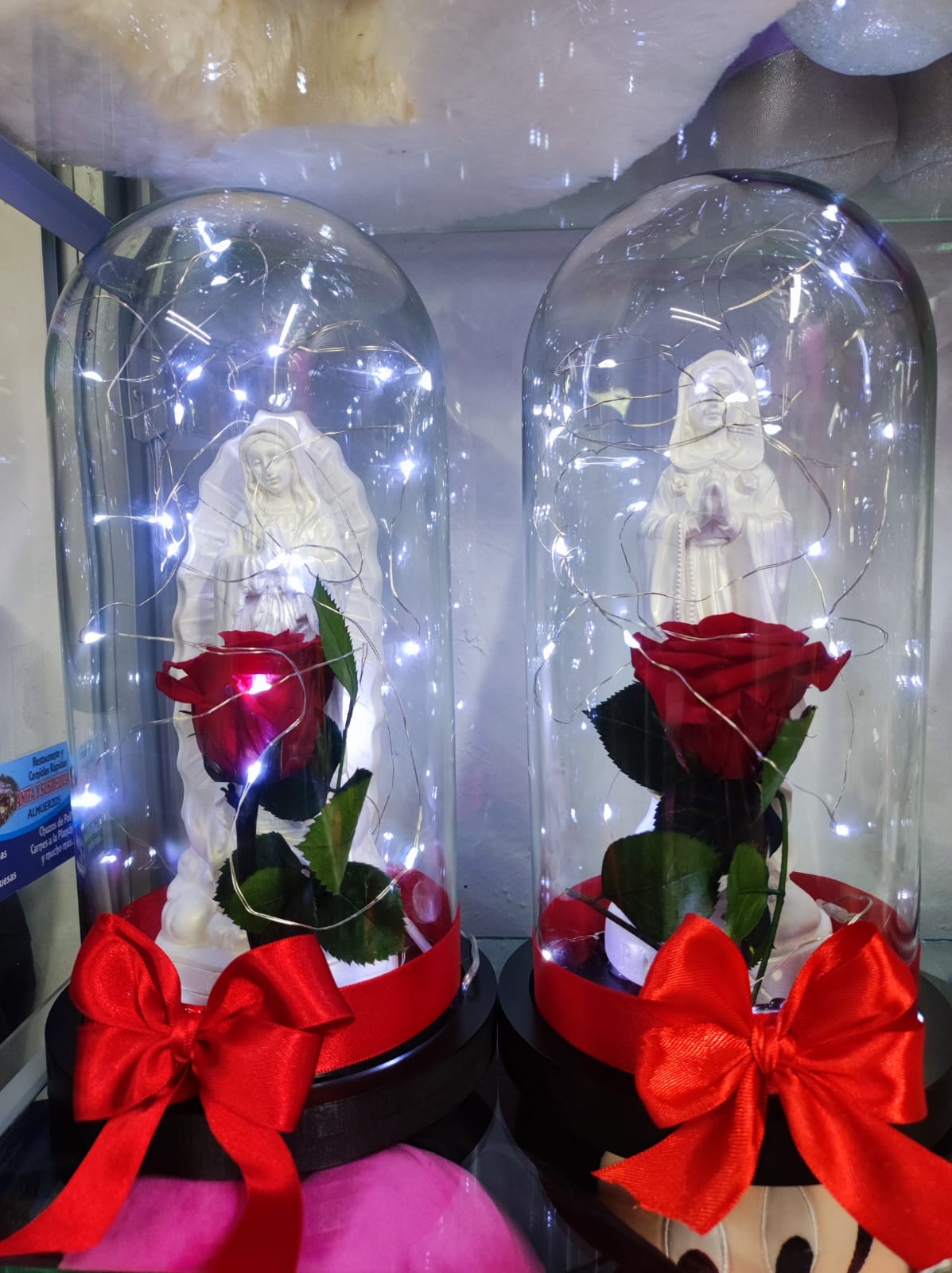 Rosa Preservada Cúpula Vidrio Caja Regalo Dia De La Mujer