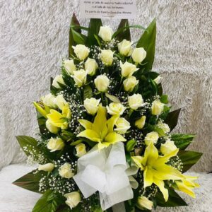 Fúnebre Camino de Fé